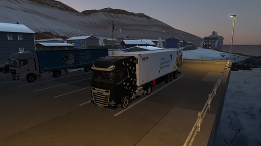 DAF NGD