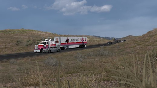 Kenworth W900