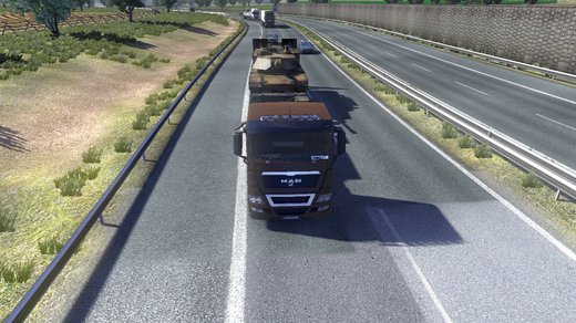 MAN TGX Euro 5
