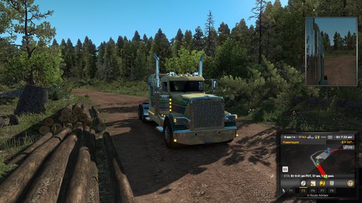 Peterbilt 389