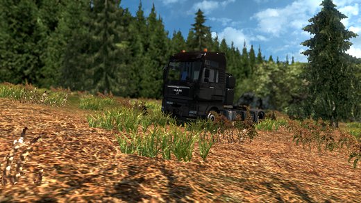 MAN TGA