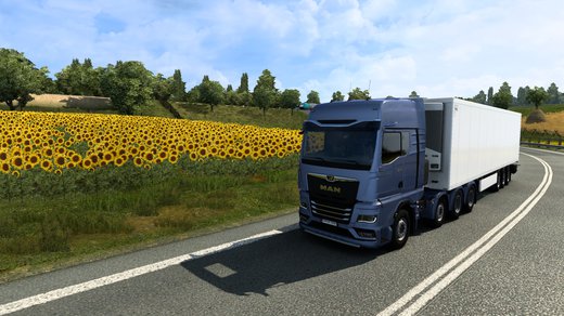 MAN TGX