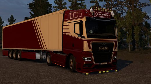 MAN TGX