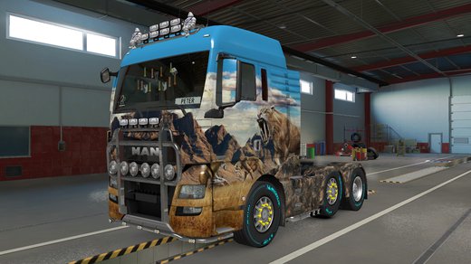 MAN TGX Euro 6