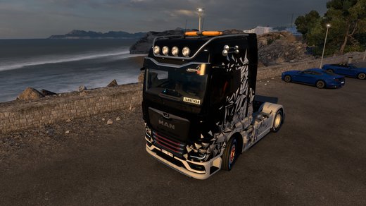 MAN TGX