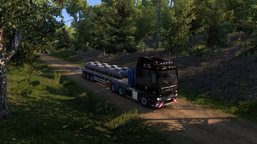 MAN TGX Euro 6