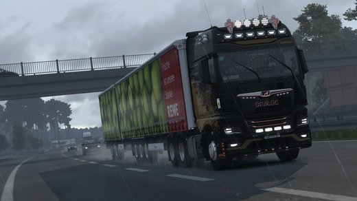 MAN TGX