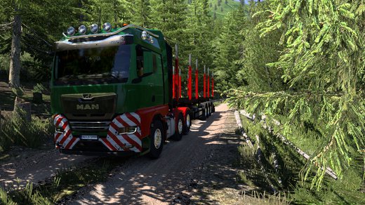 MAN TGX