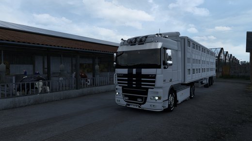 DAF XF105