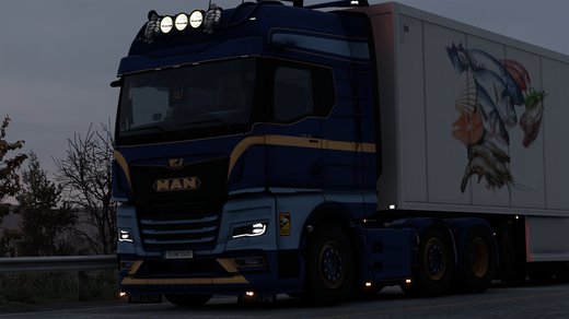 MAN TGX (TG3)