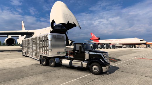 International LoneStar