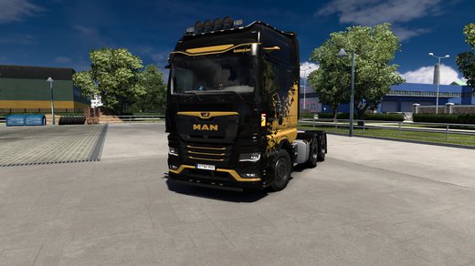 MAN TGX
