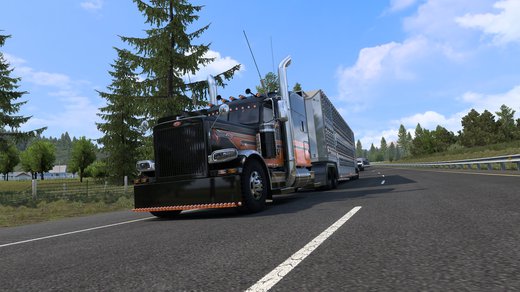 Pete Glider
