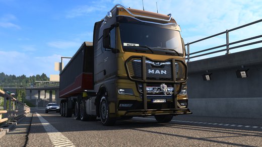 MAN TGX