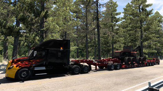 Freightliner Cascadia 2019