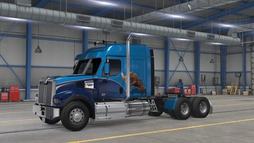 Western Star 49X