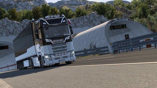 Scania S