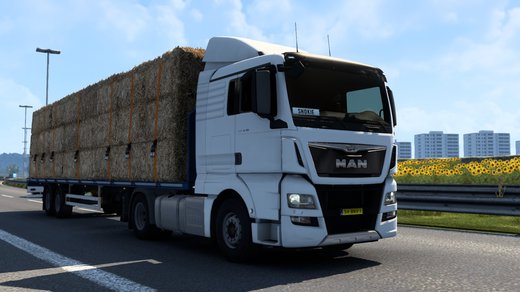 MAN TGX Euro 6