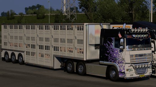 DAF XF105