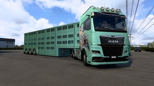 MAN TGX