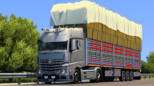 Mercedes-Benz New Actros