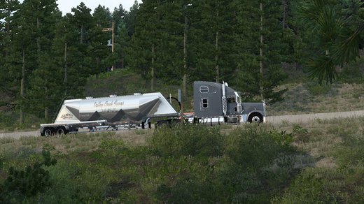 Freightliner Classic