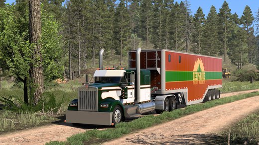 KW W900 HIGHWAY KILLER