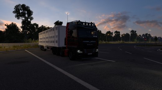 MAN TGX
