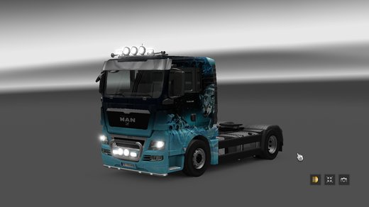 MAN TGX Euro 5