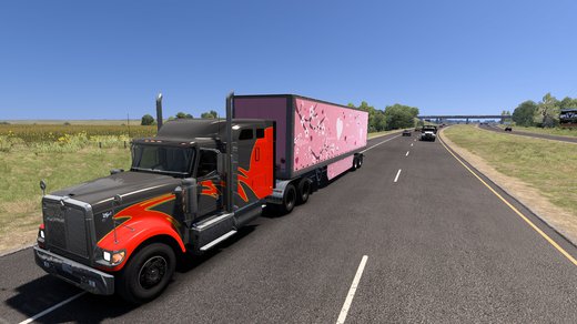 International 9900i