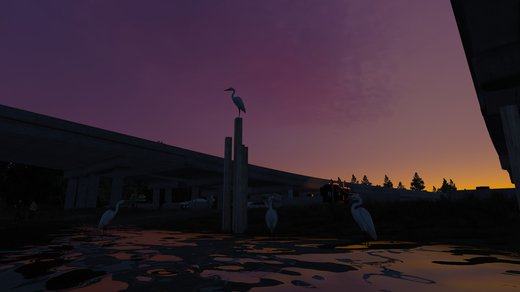 KW W900 HIGHWAY KILLER