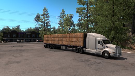 Peterbilt 579
