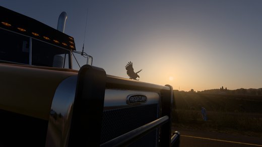 Freightliner FLD132 Classic XL