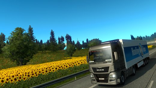 MAN TGX Euro 6