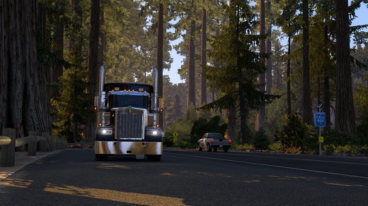 Kenworth W900