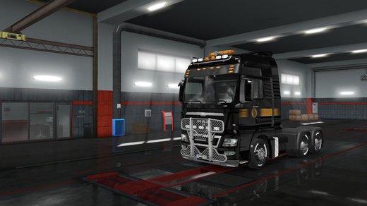 MAN TGX Euro 5