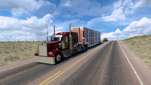 Kenworth W900 CUSTOM