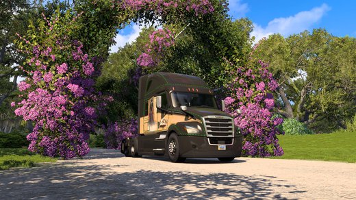 Freightliner Cascadia 2019
