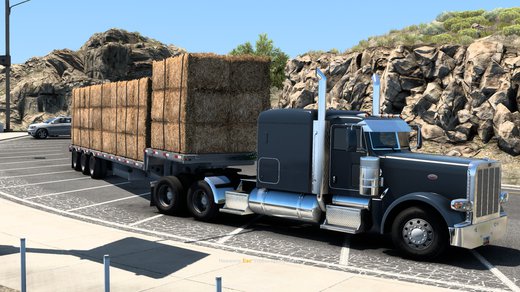 Peterbilt 389