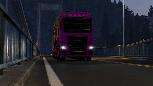 MAN TGX
