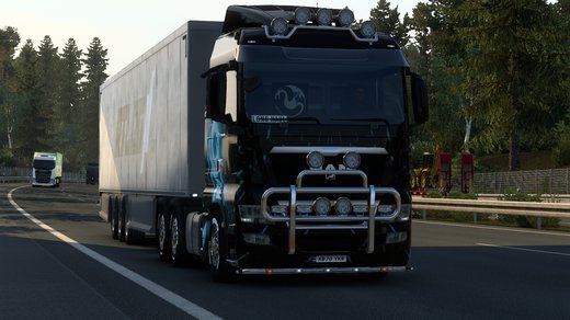 MAN TGX Euro 5