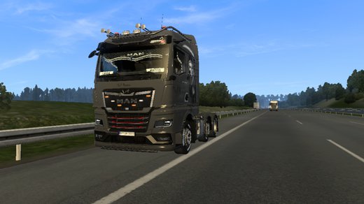 MAN TGX
