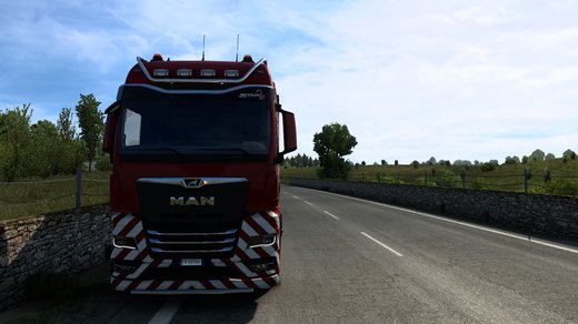 MAN TGX