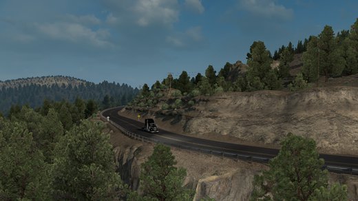 International LoneStar