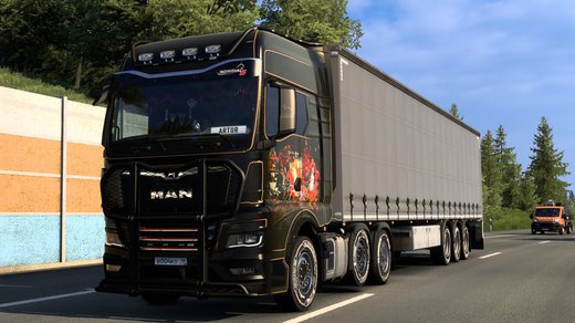 MAN TGX
