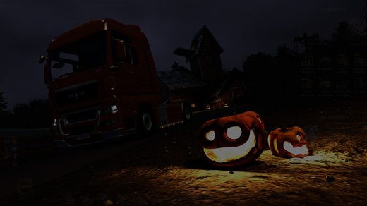 MAN TGX Euro 5