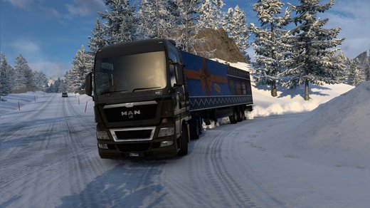 MAN TGX Euro 5