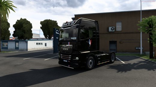 MAN TGX