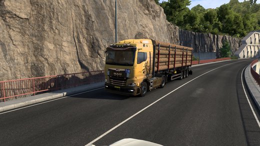 MAN TGX