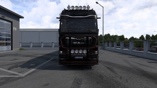 MAN TGX